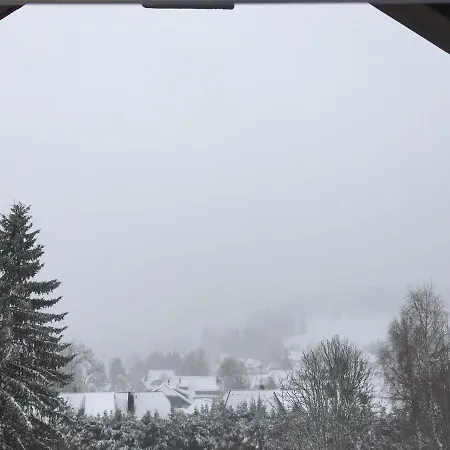 Haus Zeichner 2 Zimmer Ferienwohnung Feldberg  Esterno foto