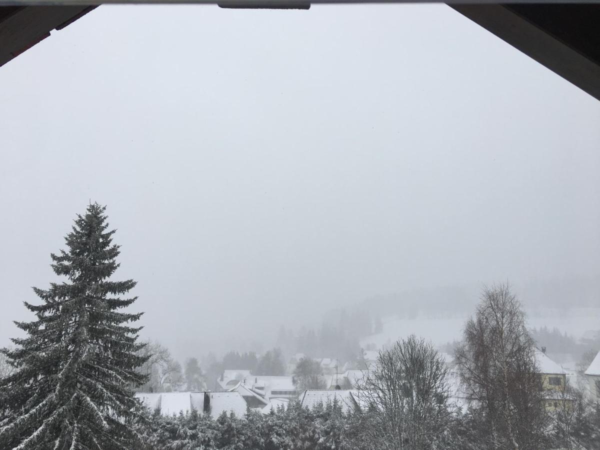 Haus Zeichner 2 Apartament Feldberg (Baden-Wurttemberg)