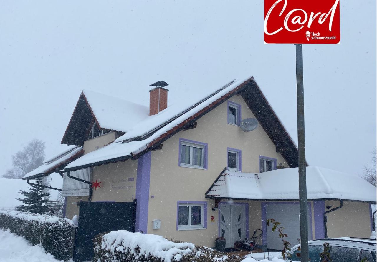 Apartment Haus Zeichner 2 Feldberg (Baden-Wurttemberg)